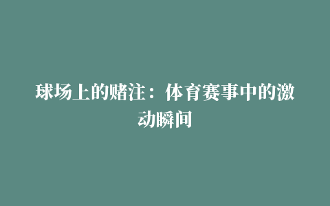 球场上的赌注：体育赛事中的激动瞬间